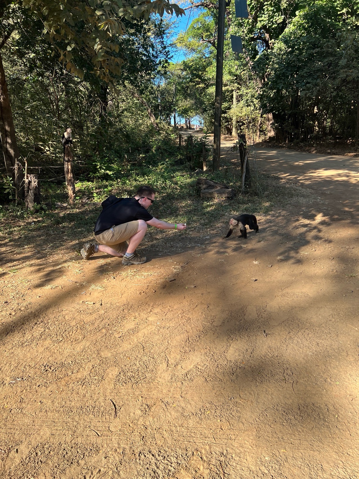 Matthew regarding a monkey in a tree in Costa Rica.